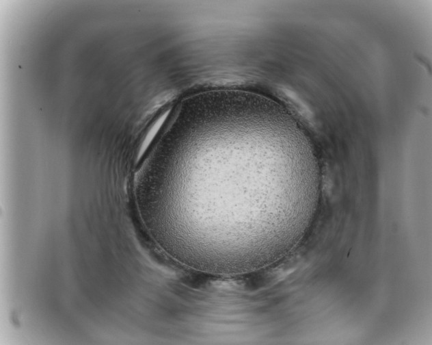 X0000097760115200803211723