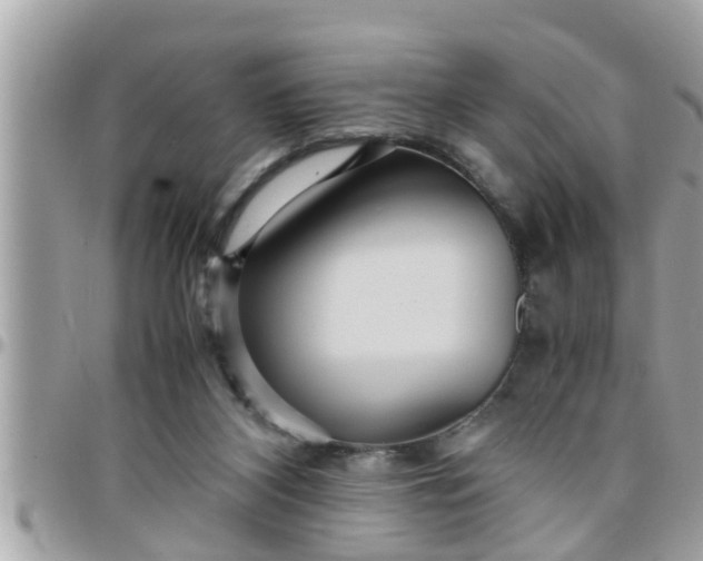 X0000097760116200803211723