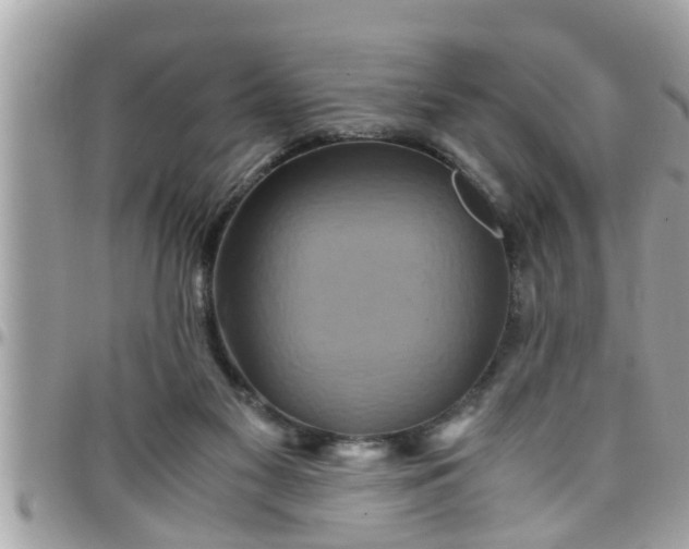 X0000097760117200803211723