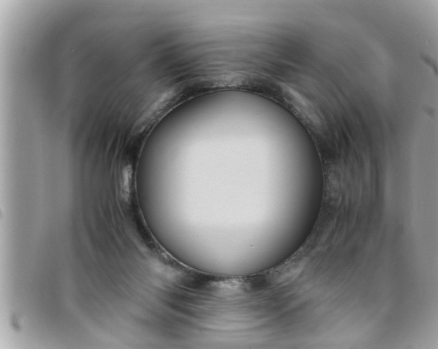 X0000097760118200803211722