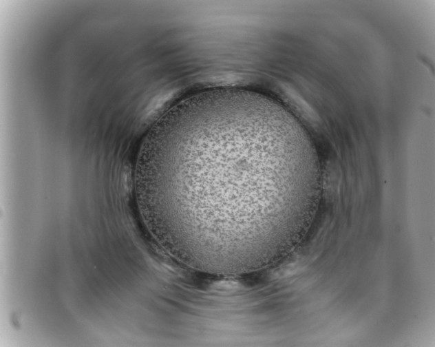 X0000097760119200803211722