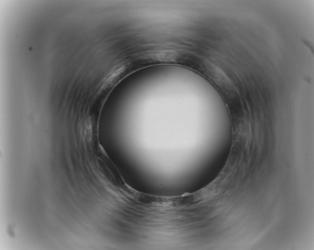 X0000097760120200803211722