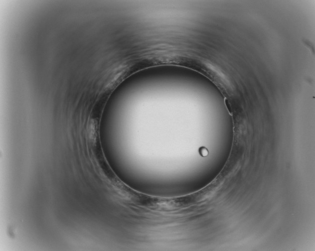 X0000097760121200803211722