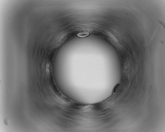 X0000097760122200803211722