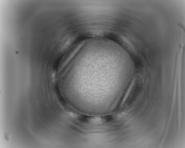 X0000097760123200803211722