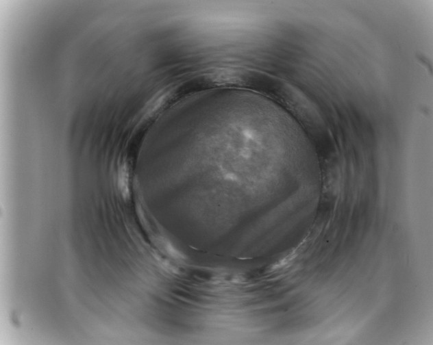 X0000097760124200803211722