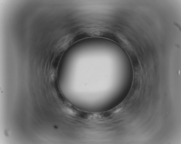 X0000097760125200803211722