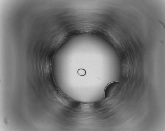 X0000097760126200803211722