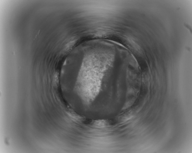 X0000097760127200803211722