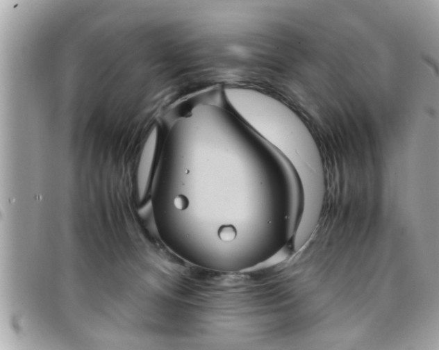 X0000097760128200803211722