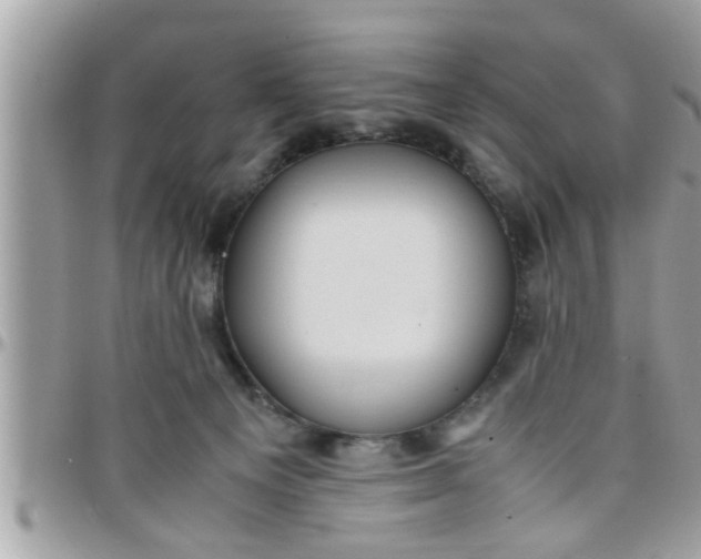 X0000097760129200803211722