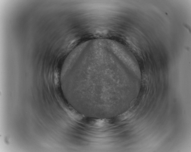 X0000097760130200803211722