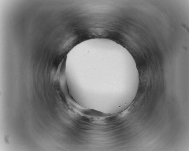 X0000097760132200803211722