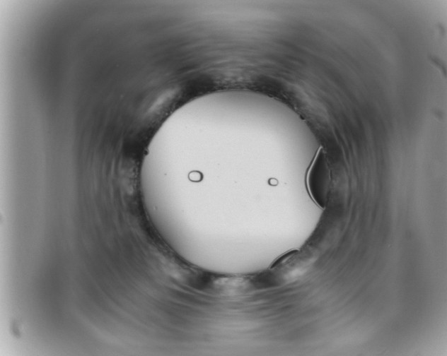 X0000097760133200803211722