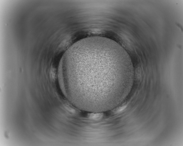 X0000097760135200803211722