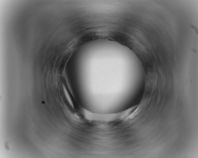 X0000097760136200803211722