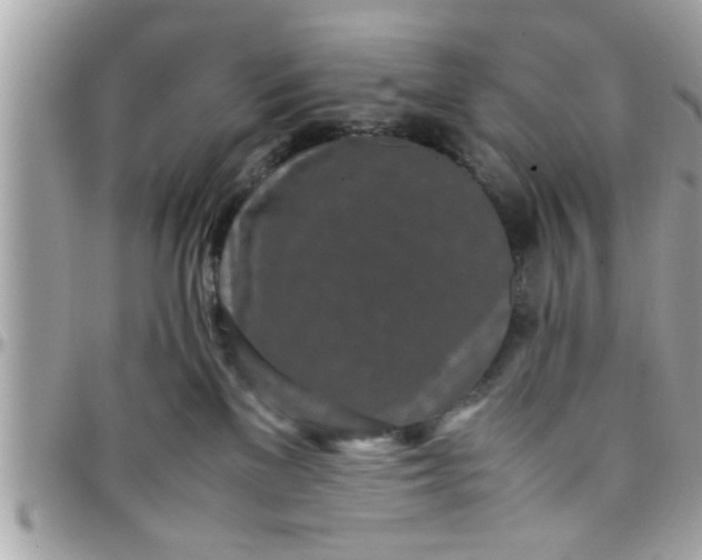 X0000097760137200803211722