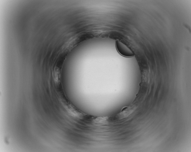 X0000097760138200803211722