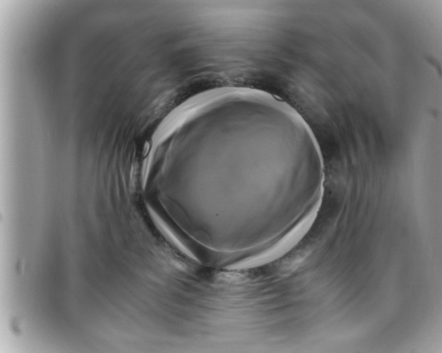 X0000097760139200803211722