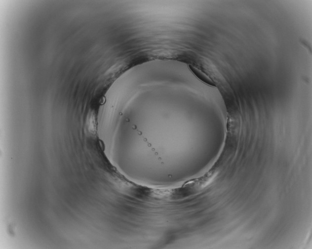 X0000097760143200803211722