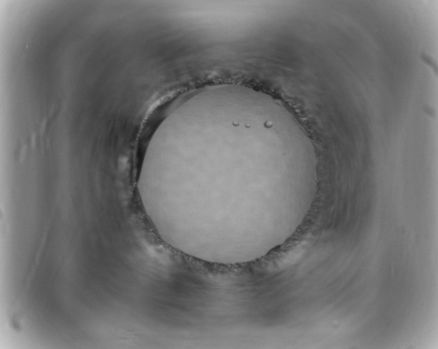 X0000097760144200803211722