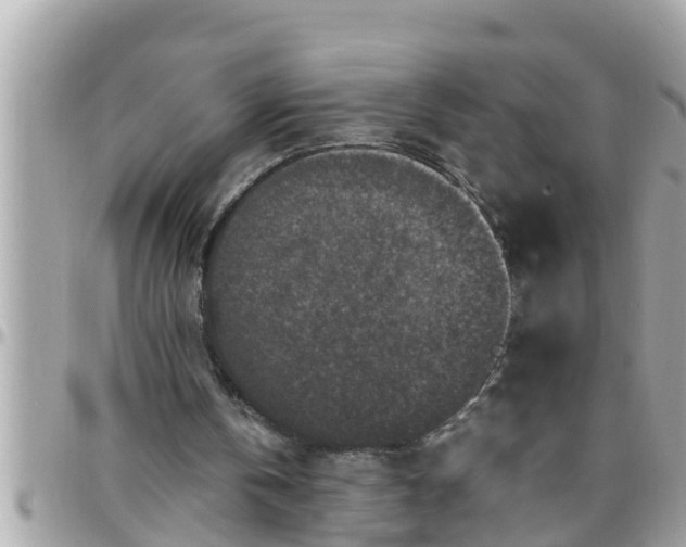 X0000097760146200803211721