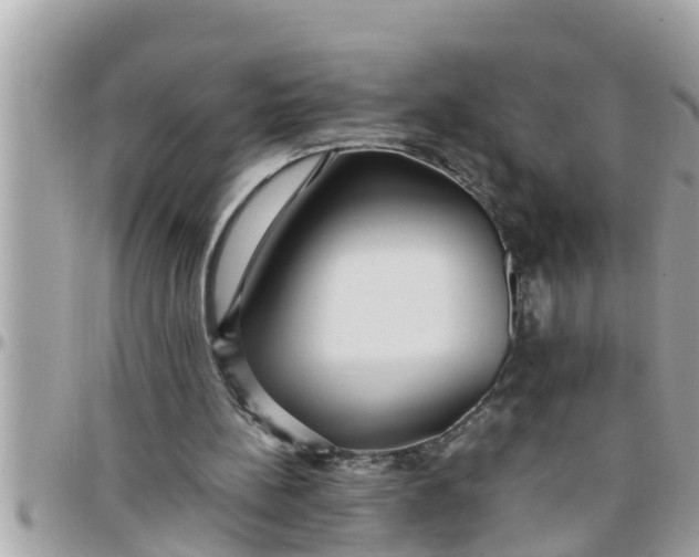 X0000097760148200803211722