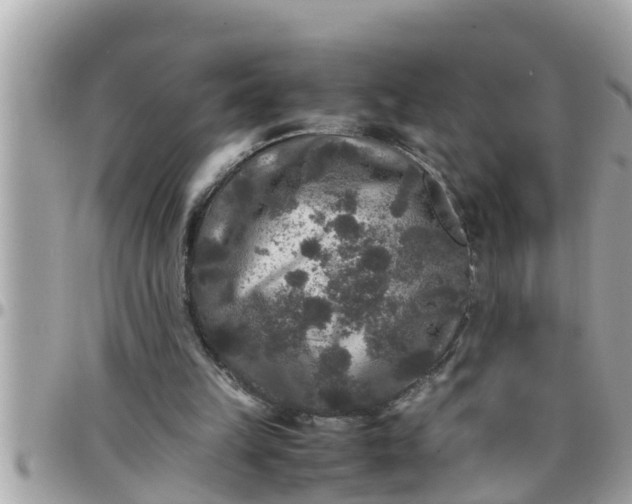 X0000097760149200803211722