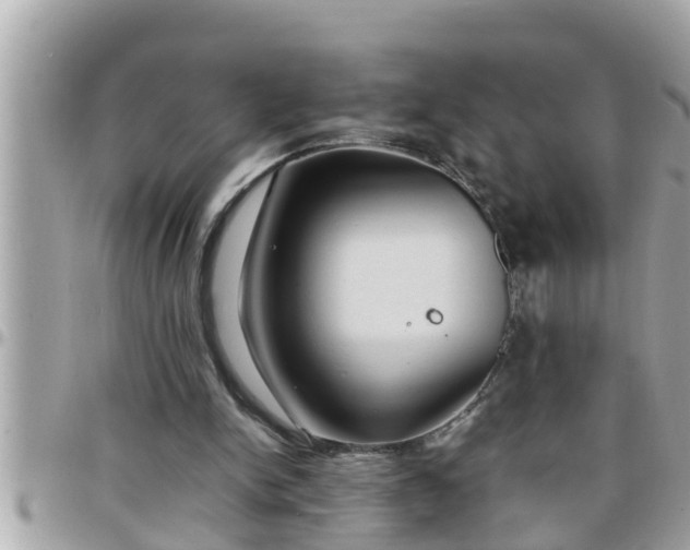 X0000097760150200803211722