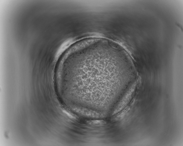 X0000097760151200803211722