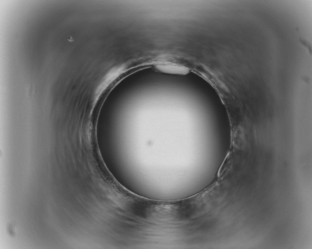 X0000097760152200803211722