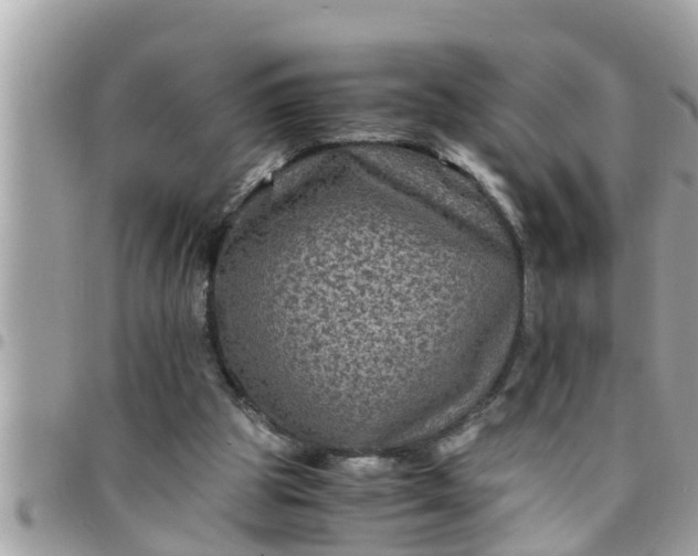 X0000097760153200803211722