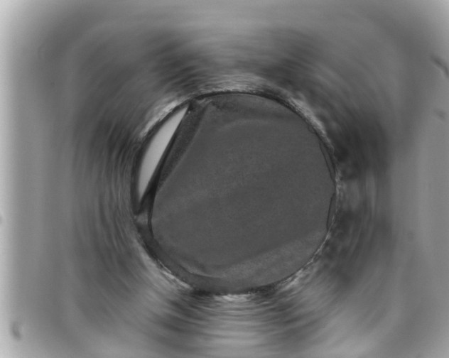 X0000097760154200803211722