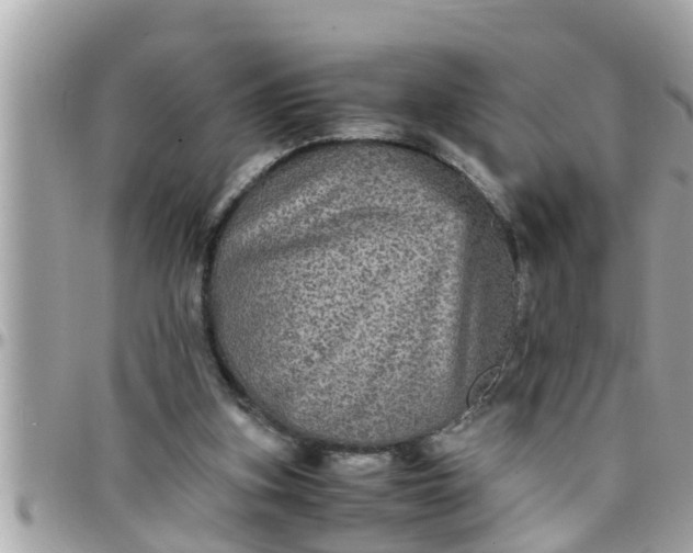 X0000097760155200803211722