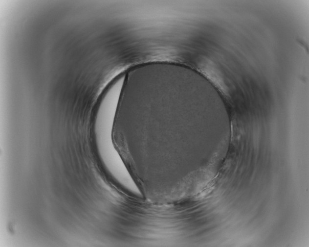 X0000097760156200803211722