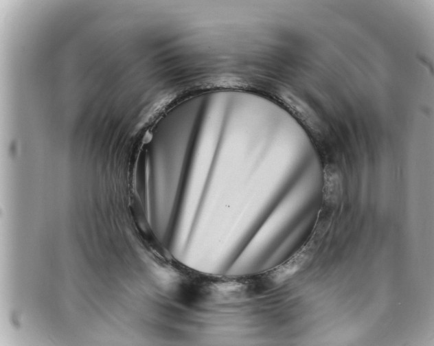 X0000097760158200803211722