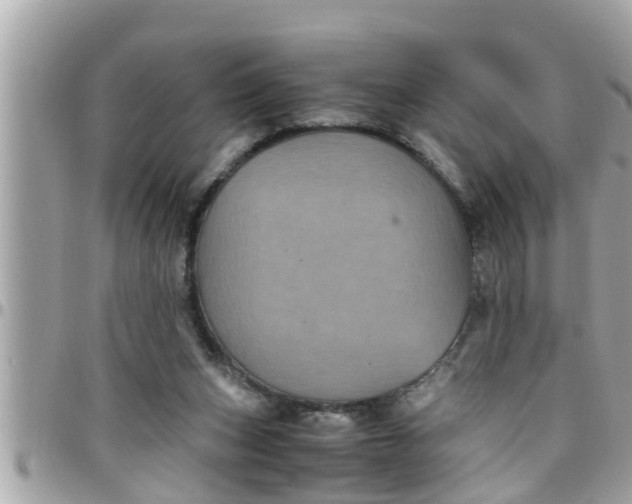 X0000097760159200803211722