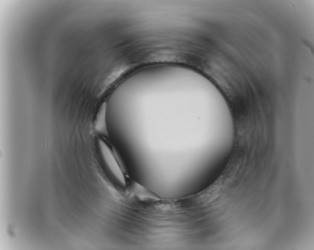 X0000097760160200803211722