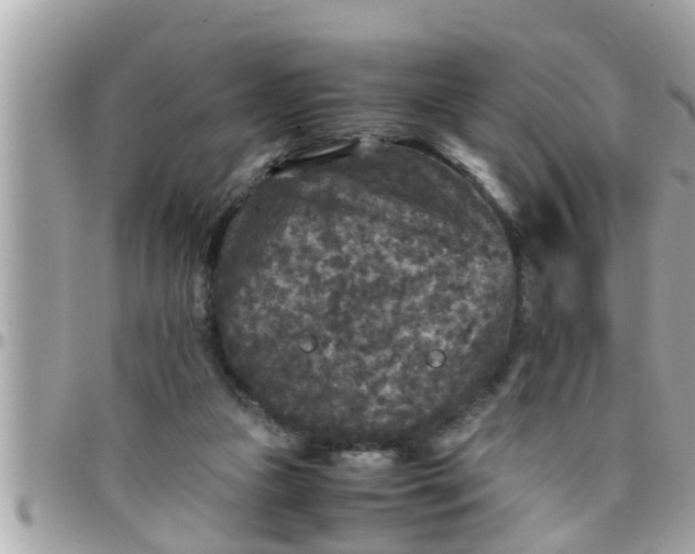 X0000097760161200803211722