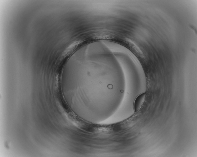 X0000097760163200803211722