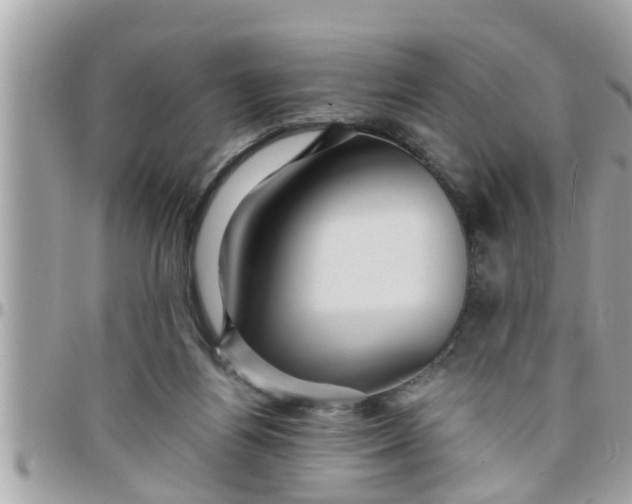 X0000097760164200803211722