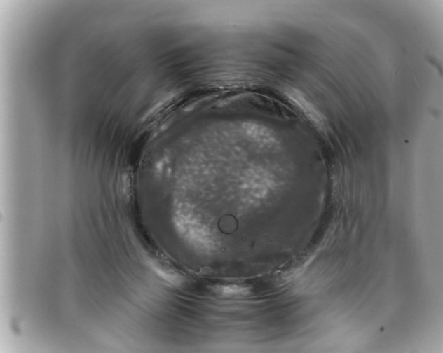 X0000097760165200803211722