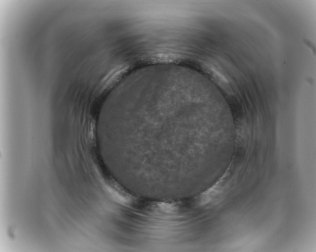 X0000097760166200803211722