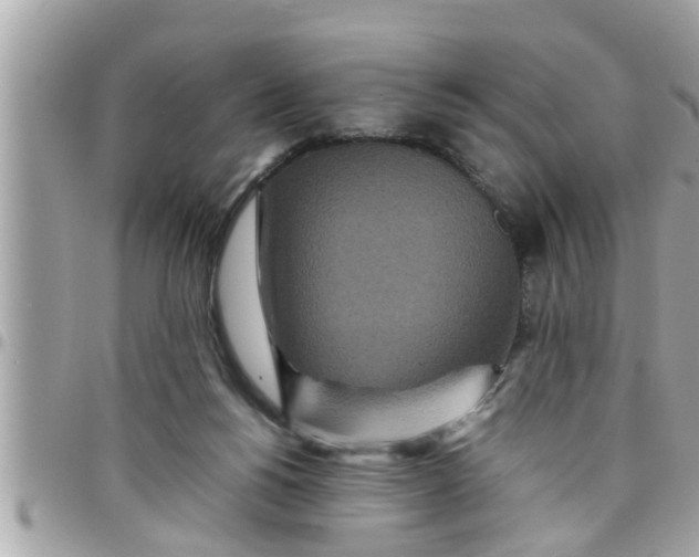 X0000097760168200803211722