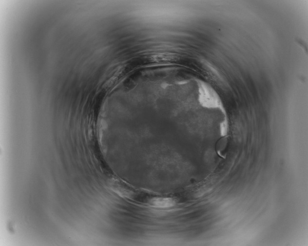 X0000097760169200803211722