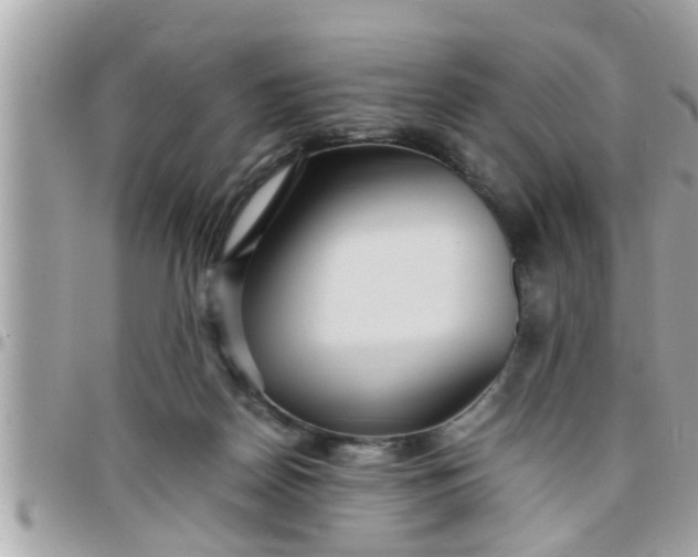 X0000097760170200803211722