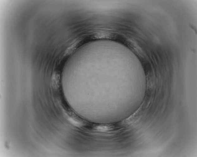 X0000097760171200803211722