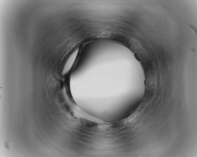 X0000097760172200803211722