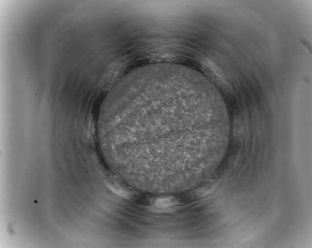 X0000097760173200803211722