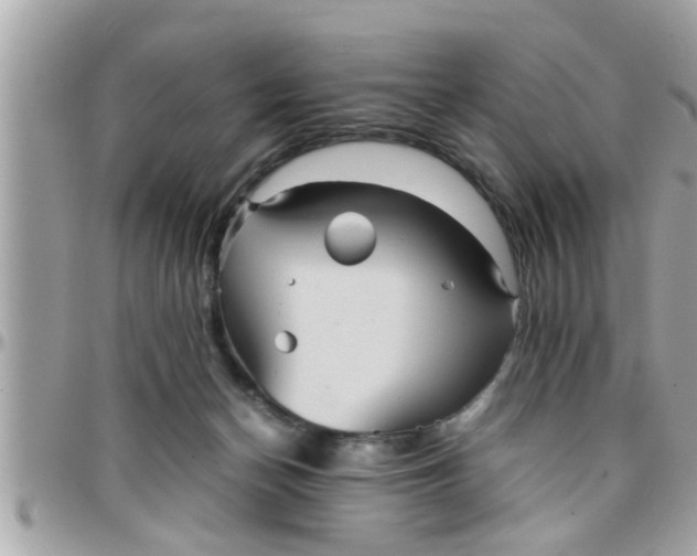 X0000097760174200803211722